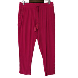 Anthropologie Harlyn Womens Pink Gauze Pull-On Pants Size Large Tassels Pockets